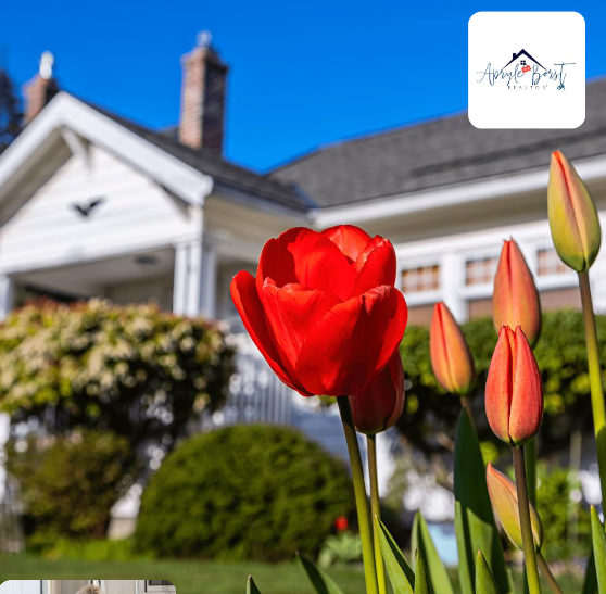 Close-up of vibrant red tulips in front of a well-maintained white house with a manicured garden, under a clear blue sky. Ask Apryle Realty logo in the top right corner.